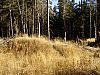 DSC05968.jpg